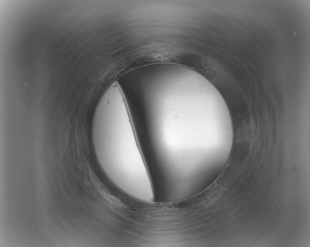 X0000062650646200512211035