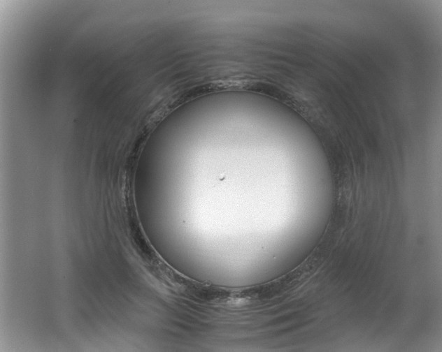 X0000062650647200512211035