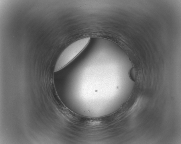 X0000062650651200512211035