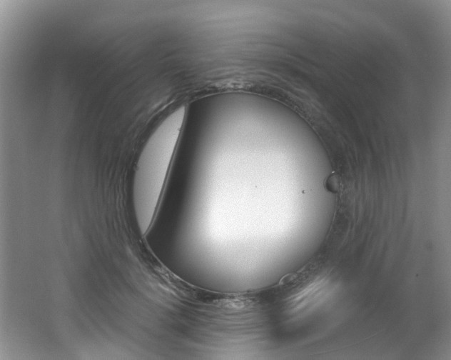 X0000062650652200512211035