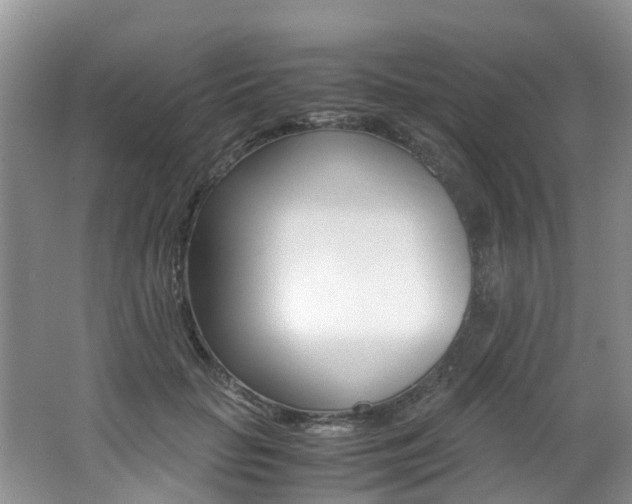 X0000062650653200512211035
