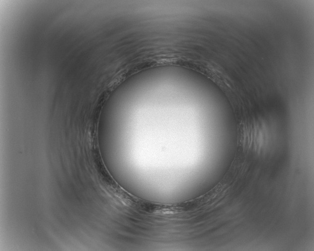 X0000062650655200512211035