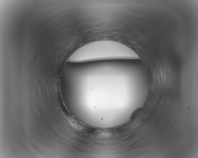 X0000062650658200512211035
