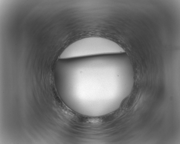 X0000062650659200512211035