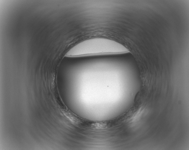 X0000062650660200512211035