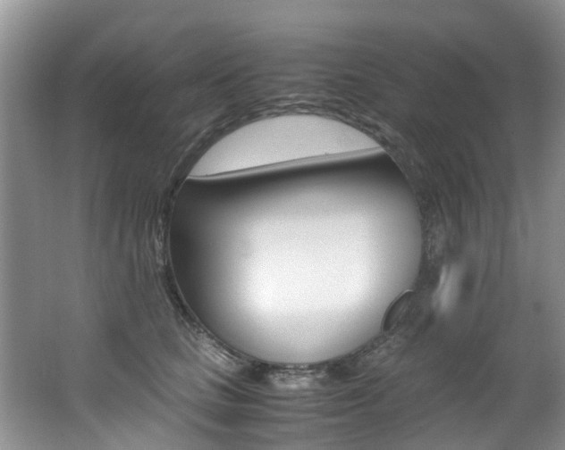 X0000062650661200512211035
