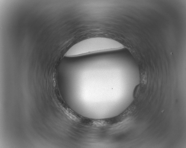 X0000062650666200512211035