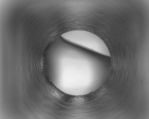 X0000062650668200512211035