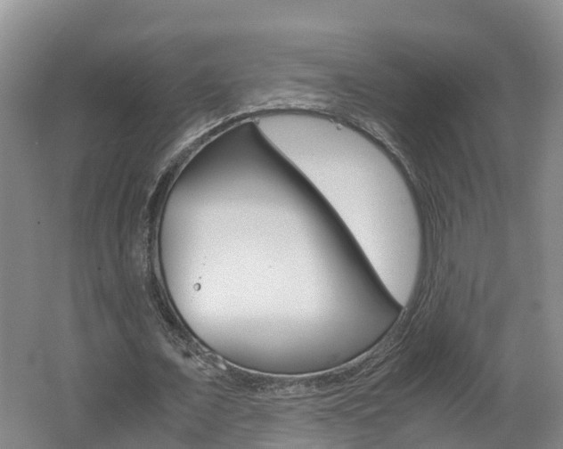 X0000062650675200512211035