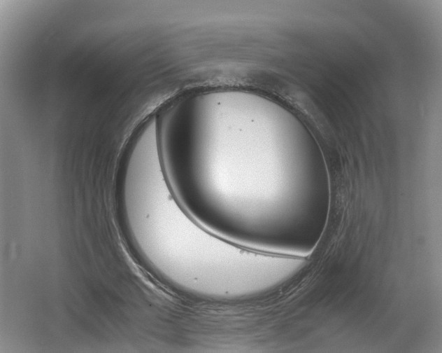 X0000062650677200512211035