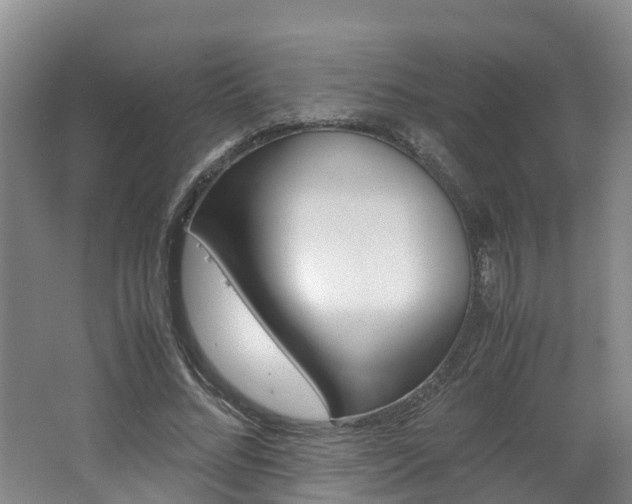 X0000062650684200512211034
