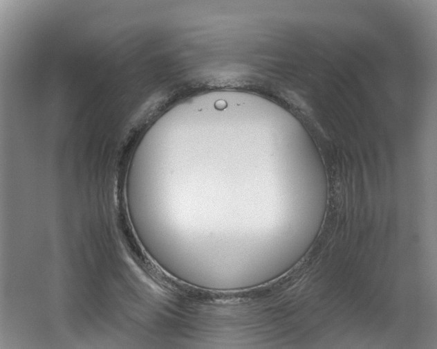 X0000062650686200512211034