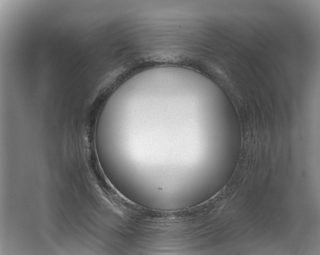 X0000062650688200512211034