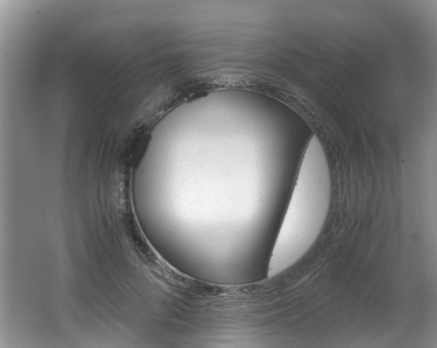 X0000062650696200512211034