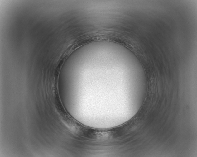 X0000062650698200512211034