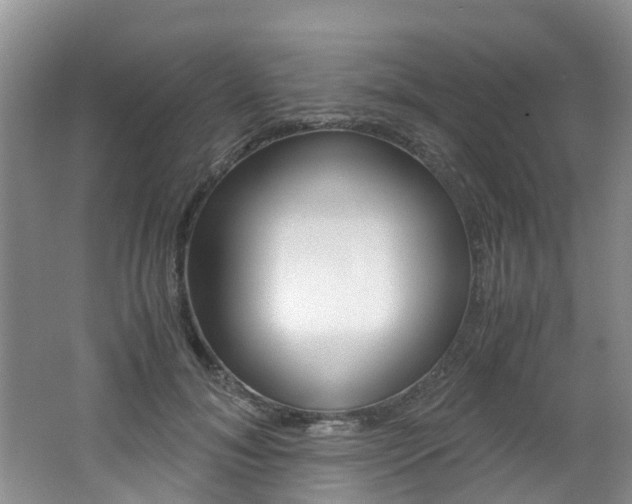 X0000062650700200512211034