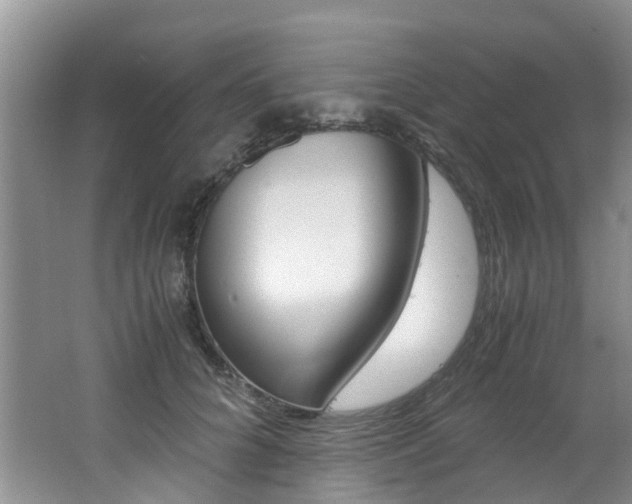 X0000062650704200512211034