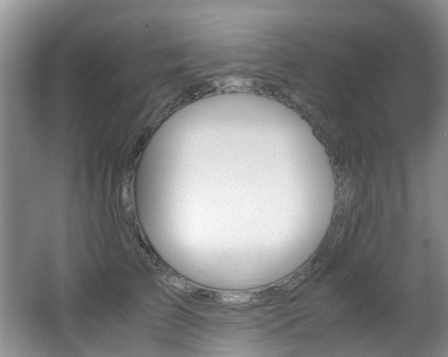 X0000062650709200512211034