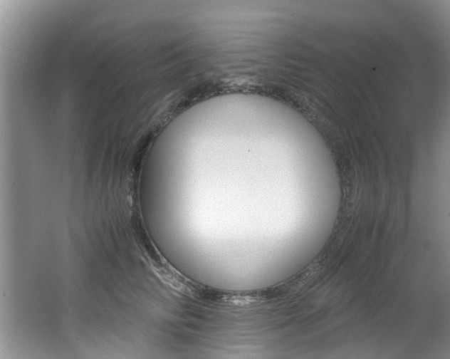X0000062650710200512211034