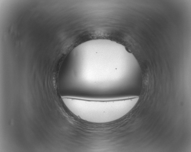 X0000062650715200512211034