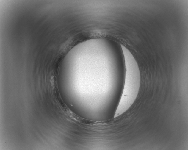 X0000062650716200512211034