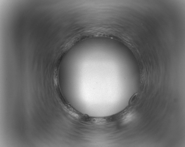X0000062650719200512211034