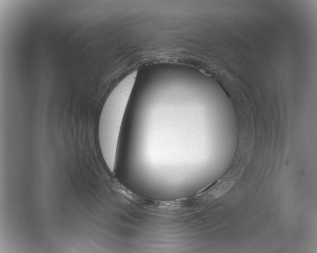 X0000062650720200512211034