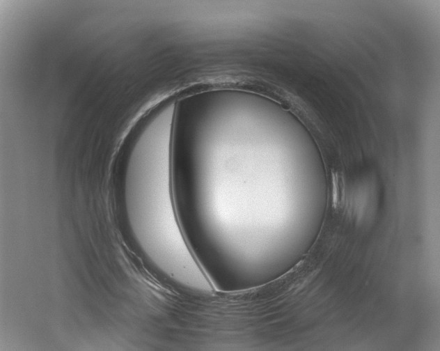 X0000062650723200512211033