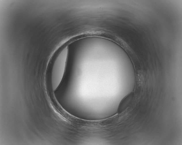 X0000062650726200512211033