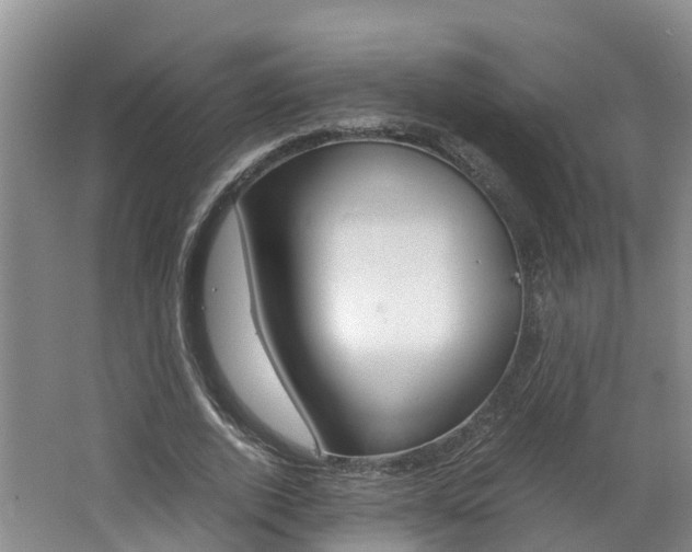 X0000062650728200512211033