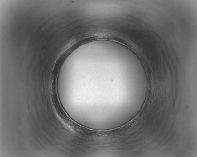 X0000062650730200512211033