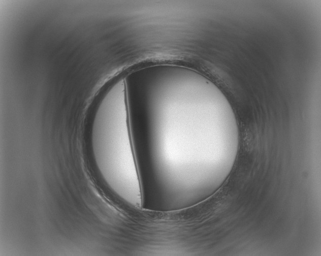 X0000062650732200512211033