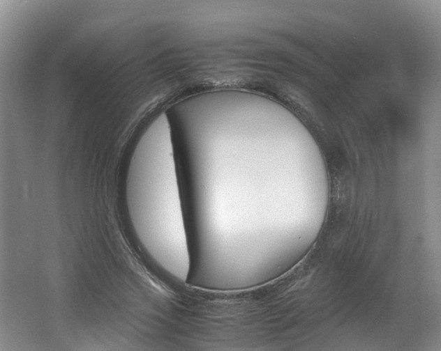 X0000062650733200512211033
