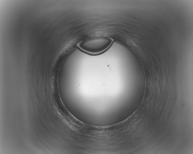 X0000062650735200512211033