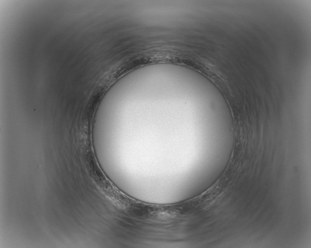 X0000062650737200512211033