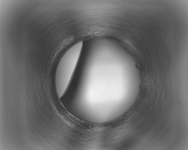X0000062650738200512211033