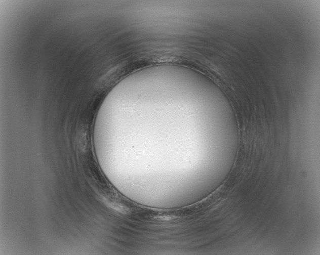 X0000062650741200512211033