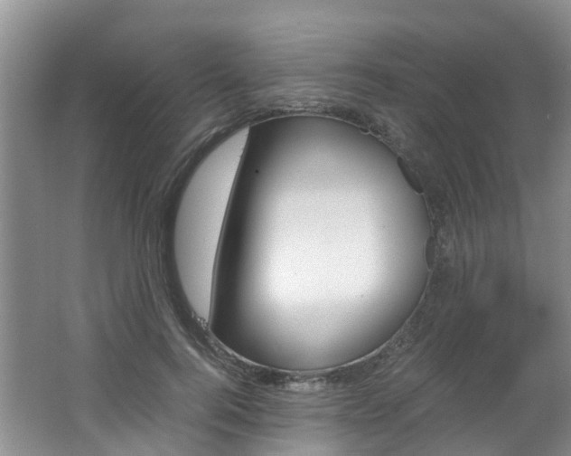 X0000062650744200512211033