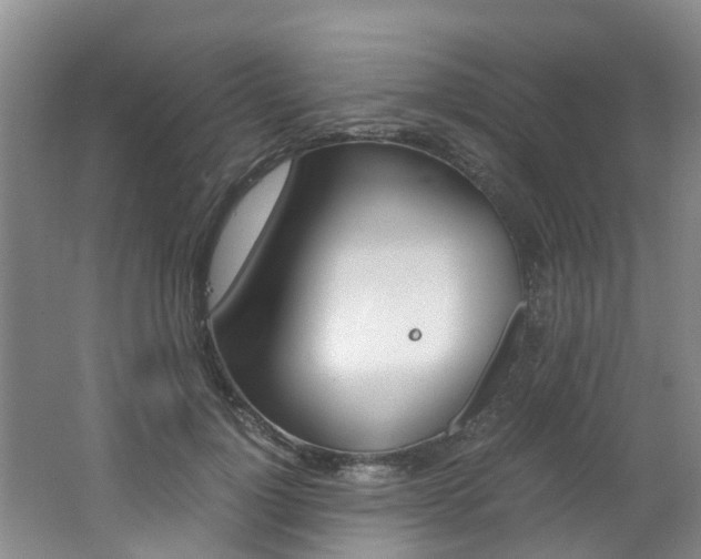 X0000062650748200512211033