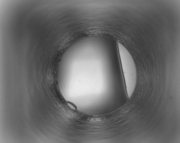 X0000062650751200512211033
