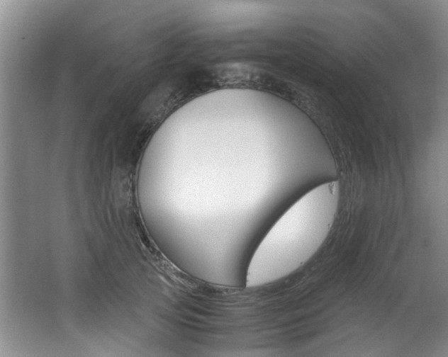 X0000062650753200512211034