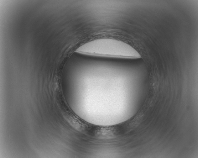 X0000062650758200512211034