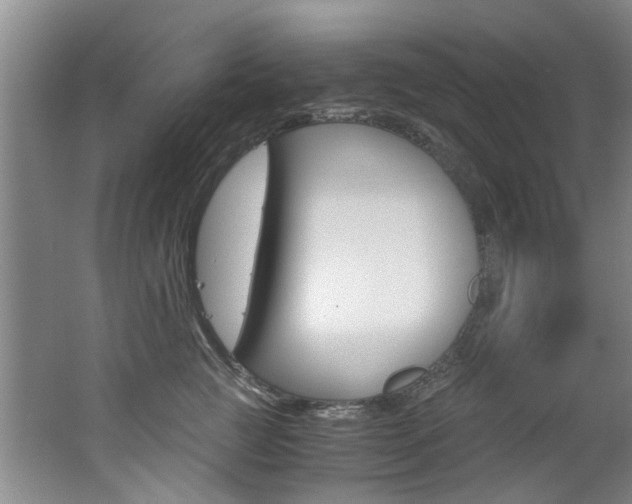 X0000062650761200512211034