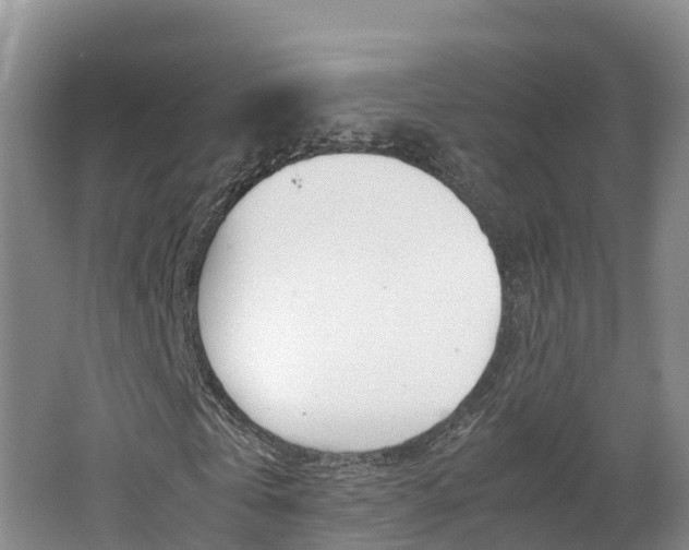 X0000062650769200512211033
