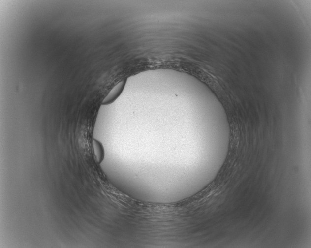 X0000062650770200512211033