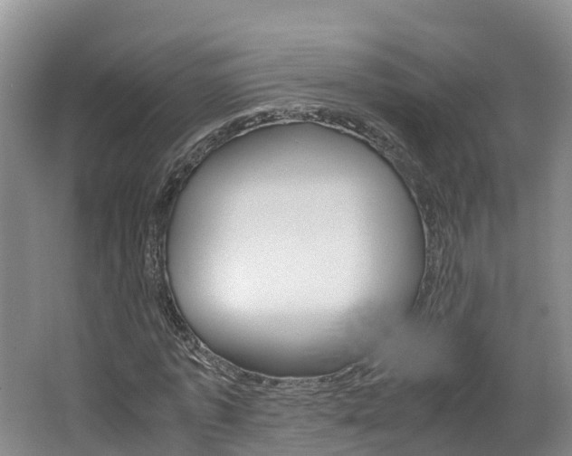 X0000062650773200512211033