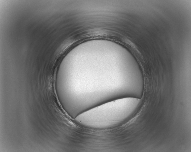 X0000062650778200512211033