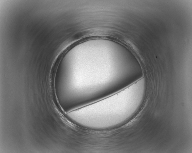 X0000062650779200512211033