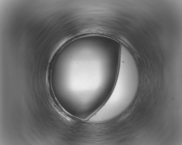 X0000062650788200512211033