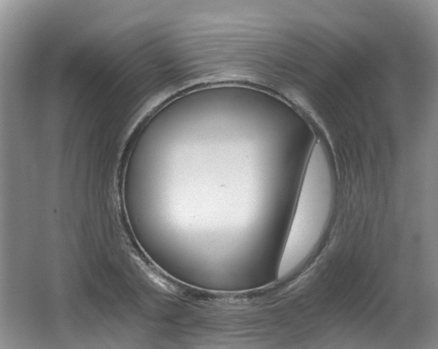 X0000062650789200512211033